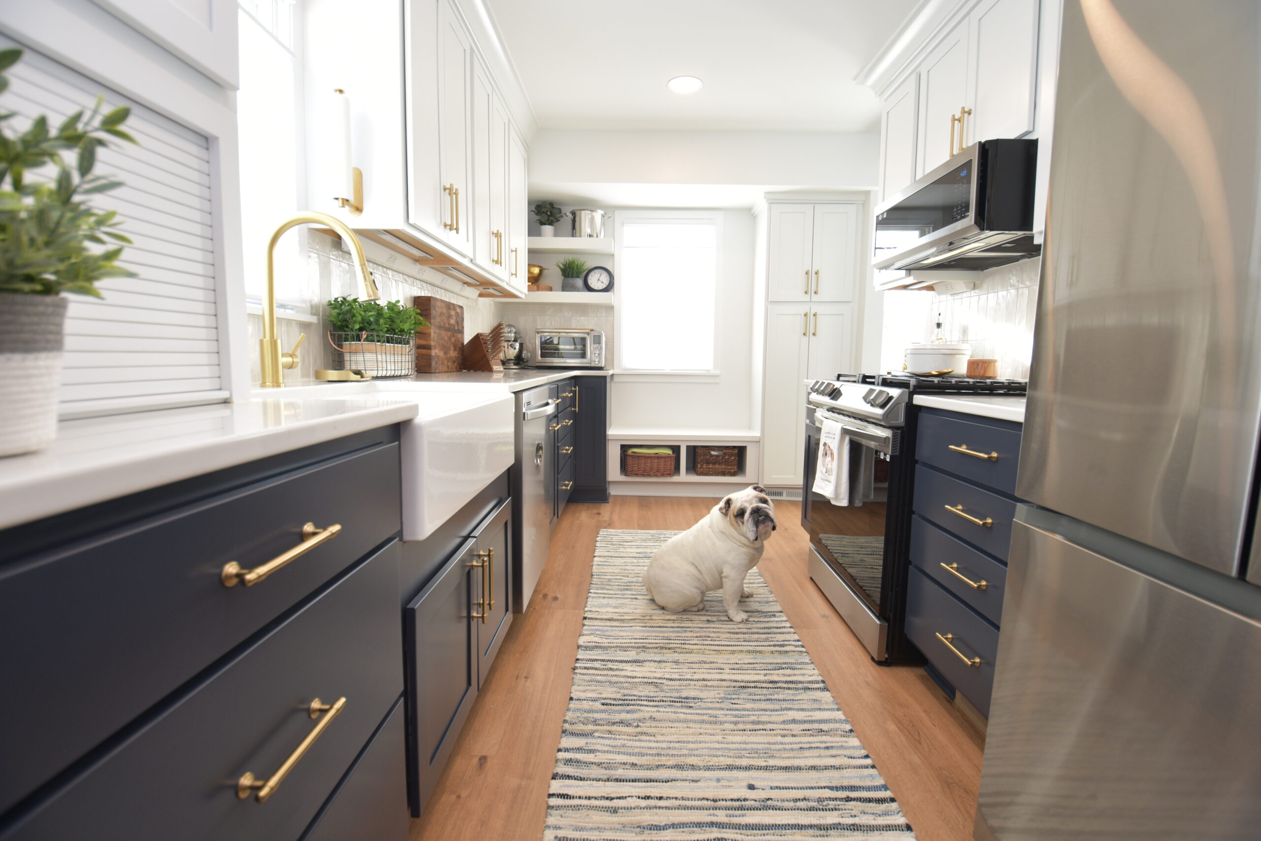 Navy blue galley kitchen - view of entire kitchen from fridge with bulldog on rug