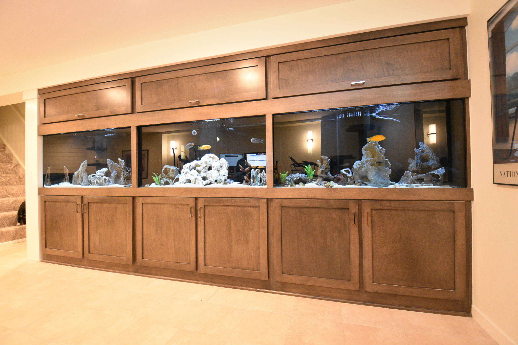Fishtank build into cabinetry in basement remodel
