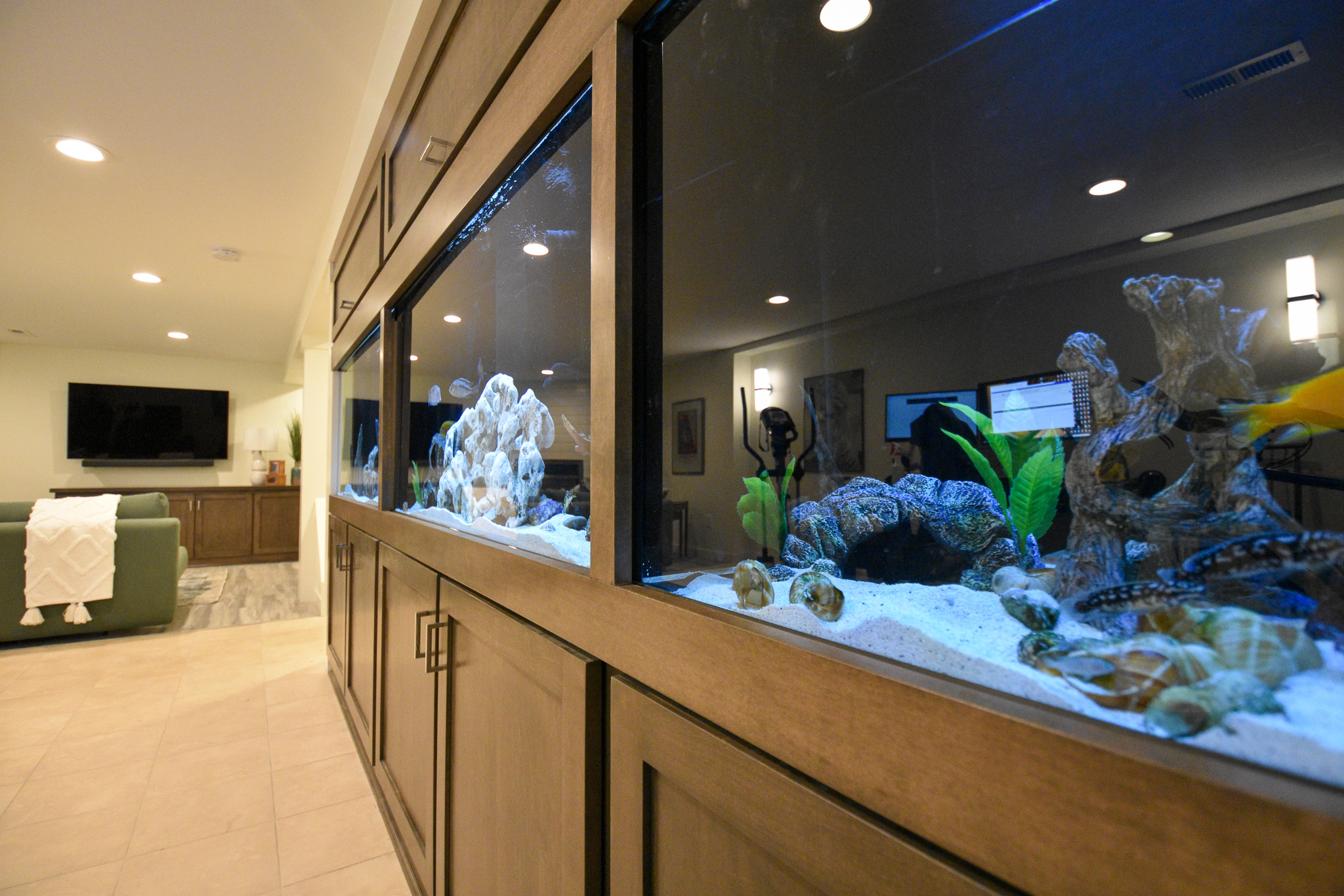 Fishtank build into cabinetry in basement remodel