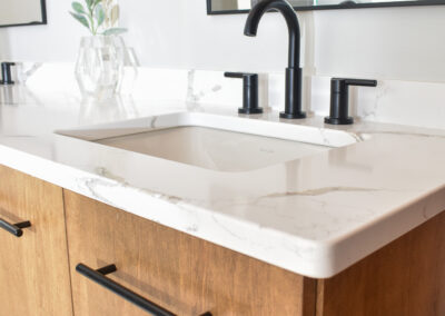 Modern Living - Master Bath - close up on vanity and sink